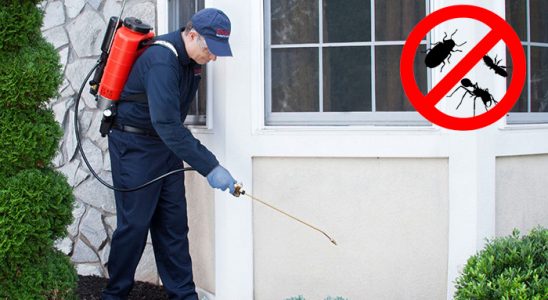 Buca Kene İlaçlama böcek ilaçlama ve haşere kontrolü — ilaclama-tr.com